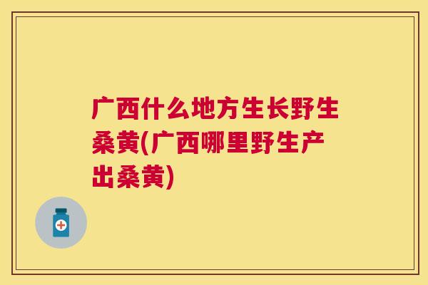 广西什么地方生长野生桑黄(广西哪里野生产出桑黄) 广西什么地方生长野生桑黄(广西哪里野生产出桑黄)