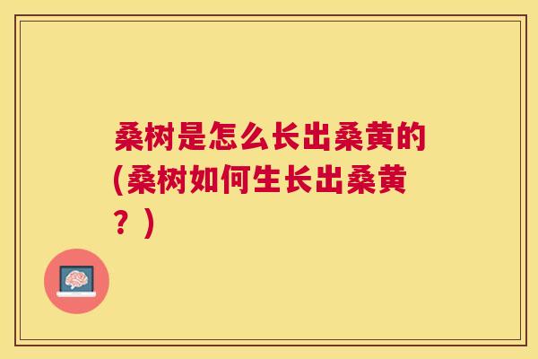 桑树是怎么长出桑黄的(桑树如何生长出桑黄?) 桑树是怎么长出桑黄的(桑树如何生长出桑黄?)