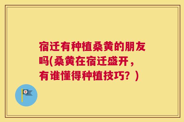 宿迁有种植桑黄的朋友吗(桑黄在宿迁盛开,有谁懂得种植技巧?) 宿迁有种植桑黄的朋友吗(桑黄在宿迁盛开,有谁懂得种植技巧?)