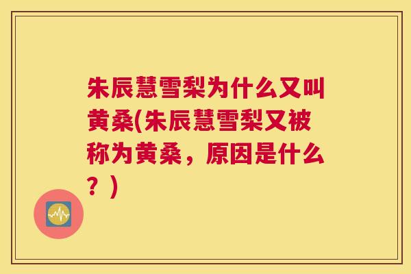 朱辰慧雪梨为什么又叫黄桑(朱辰慧雪梨又被称为黄桑,原因是什么?) 朱辰慧雪梨为什么又叫黄桑(朱辰慧雪梨又被称为黄桑,原因是什么?)