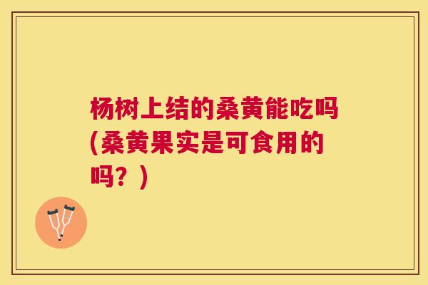 杨树上结的桑黄能吃吗(桑黄果实是可食用的吗?) 杨树上结的桑黄能吃吗(桑黄果实是可食用的吗?)