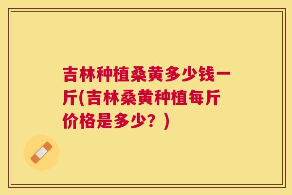 吉林种植桑黄多少钱一斤(吉林桑黄种植每斤价格是多少?) 吉林种植桑黄多少钱一斤(吉林桑黄种植每斤价格是多少?)
