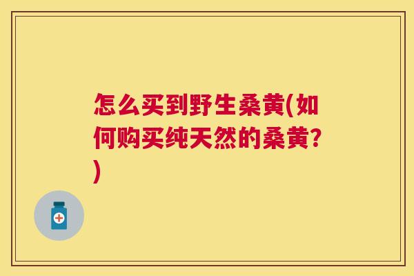 怎么买到野生桑黄(如何购买纯天然的桑黄?) 怎么买到野生桑黄(如何购买纯天然的桑黄?)