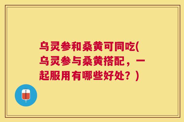 乌灵参和桑黄可同吃(乌灵参与桑黄搭配,一起服用有哪些好处?) 乌灵参和桑黄可同吃(乌灵参与桑黄搭配,一起服用有哪些好处?)