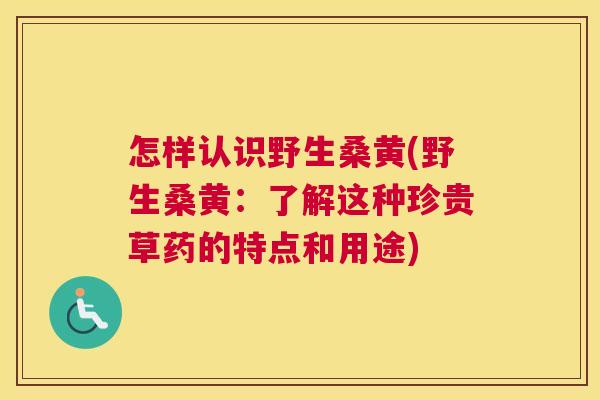 怎样认识野生桑黄(野生桑黄:了解这种珍贵草药的特点和用途) 怎样认识野生桑黄(野生桑黄:了解这种珍贵草药的特点和用途)