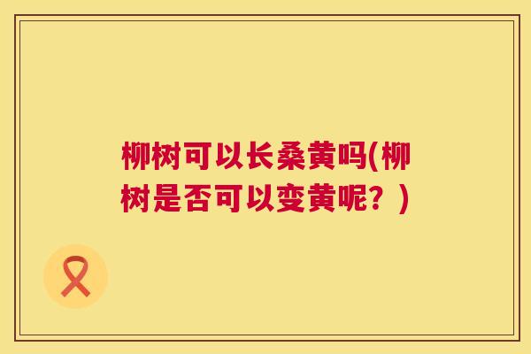 柳树可以长桑黄吗(柳树是否可以变黄呢?) 柳树可以长桑黄吗(柳树是否可以变黄呢?)
