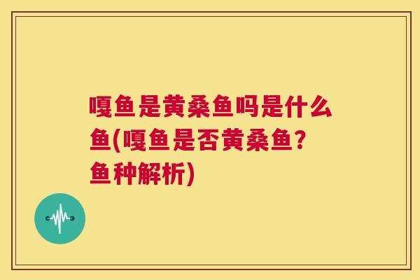 嘎鱼是黄桑鱼吗是什么鱼(嘎鱼是否黄桑鱼?鱼种解析) 嘎鱼是黄桑鱼吗是什么鱼(嘎鱼是否黄桑鱼?鱼种解析)