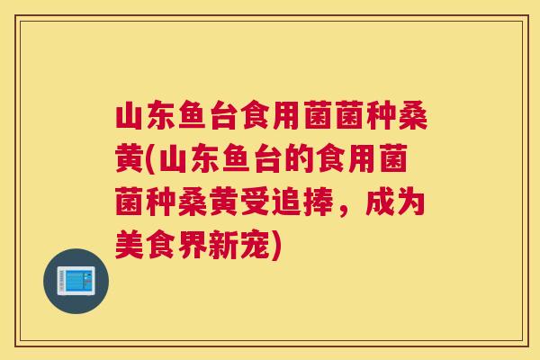 山东鱼台食用菌菌种桑黄(山东鱼台的食用菌菌种桑黄受追捧,成为美食界新宠) 山东鱼台食用菌菌种桑黄(山东鱼台的食用菌菌种桑黄受追捧,成为美食界新宠)