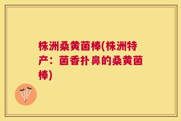 株洲桑黄菌棒(株洲特产:菌香扑鼻的桑黄菌棒) 株洲桑黄菌棒(株洲特产:菌香扑鼻的桑黄菌棒)
