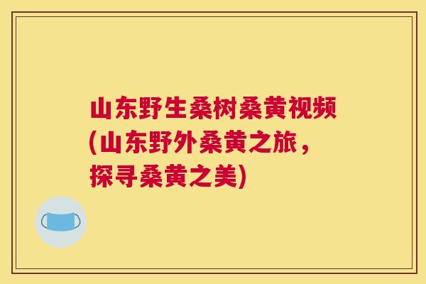 山东野生桑树桑黄视频(山东野外桑黄之旅,探寻桑黄之美) 山东野生桑树桑黄视频(山东野外桑黄之旅,探寻桑黄之美)