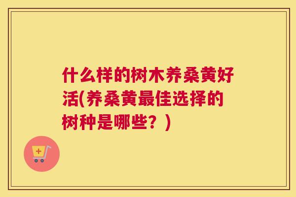 什么样的树木养桑黄好活(养桑黄佳选择的树种是哪些?) 什么样的树木养桑黄好活(养桑黄佳选择的树种是哪些?)