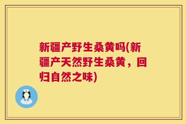新疆产野生桑黄吗(新疆产天然野生桑黄,回归自然之味) 新疆产野生桑黄吗(新疆产天然野生桑黄,回归自然之味)