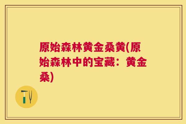 原始森林黄金桑黄(原始森林中的宝藏:黄金桑) 原始森林黄金桑黄(原始森林中的宝藏:黄金桑)