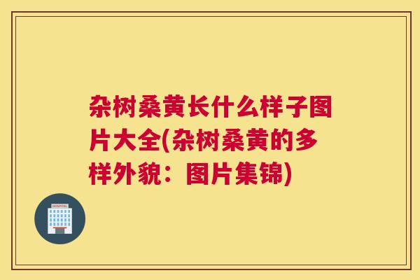 杂树桑黄长什么样子图片大全(杂树桑黄的多样外貌:图片集锦) 杂树桑黄长什么样子图片大全(杂树桑黄的多样外貌:图片集锦)