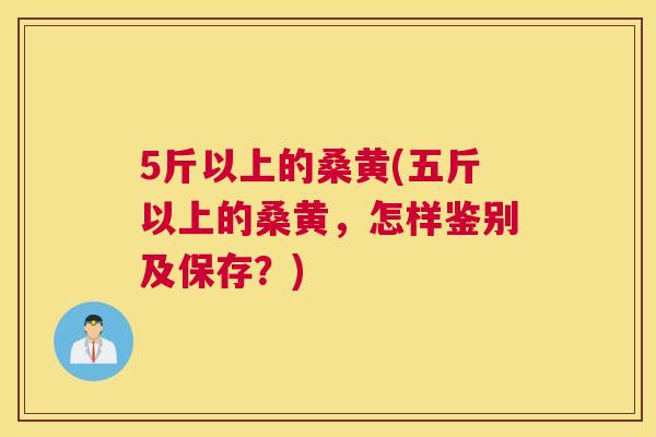5斤以上的桑黄(五斤以上的桑黄,怎样鉴别及保存?) 5斤以上的桑黄(五斤以上的桑黄,怎样鉴别及保存?)
