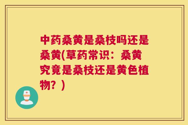 桑黄是桑枝吗还是桑黄(草药常识：桑黄究竟是桑枝还是黄色植物？)