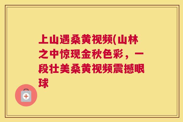 上山遇桑黄视频(山林之中惊现金秋色彩,一段壮美桑黄视频震撼眼球 上山遇桑黄视频(山林之中惊现金秋色彩,一段壮美桑黄视频震撼眼球