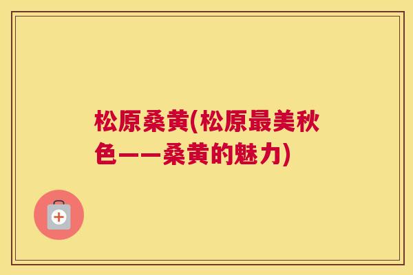 松原桑黄(松原美秋色——桑黄的魅力) 松原桑黄(松原美秋色——桑黄的魅力)