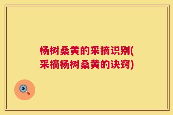 杨树桑黄的采摘识别(采摘杨树桑黄的诀窍) 杨树桑黄的采摘识别(采摘杨树桑黄的诀窍)