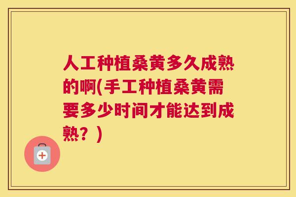 人工种植桑黄多久成熟的啊(手工种植桑黄需要多少时间才能达到成熟？)