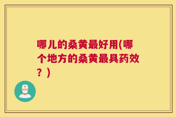 哪儿的桑黄好用(哪个地方的桑黄具?) 哪儿的桑黄好用(哪个地方的桑黄具?)