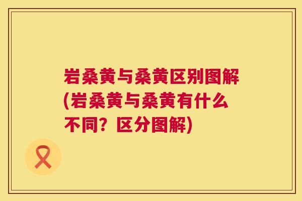 岩桑黄与桑黄区别图解(岩桑黄与桑黄有什么不同?区分图解) 岩桑黄与桑黄区别图解(岩桑黄与桑黄有什么不同?区分图解)