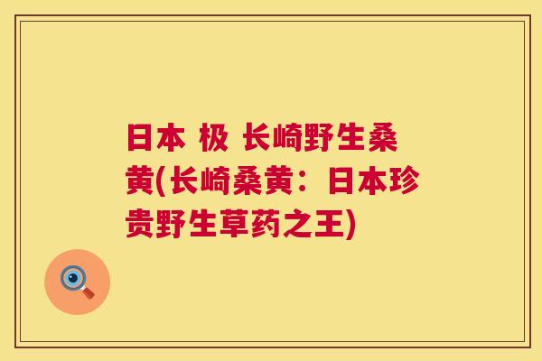日本 极 长崎野生桑黄(长崎桑黄:日本珍贵野生草药之王) 日本 极 长崎野生桑黄(长崎桑黄:日本珍贵野生草药之王)