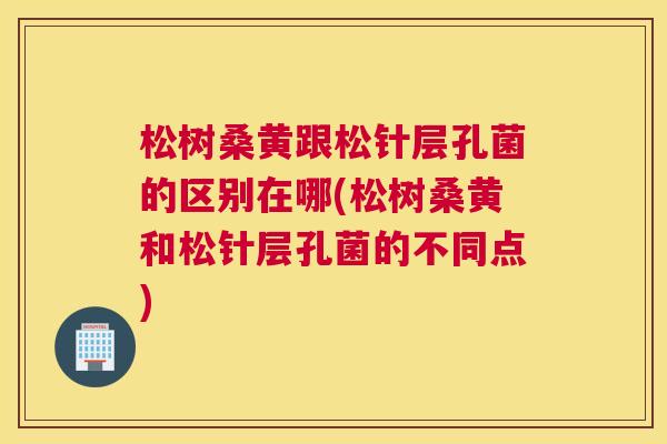 松树桑黄跟松针层孔菌的区别在哪(松树桑黄和松针层孔菌的不同点) 松树桑黄跟松针层孔菌的区别在哪(松树桑黄和松针层孔菌的不同点)