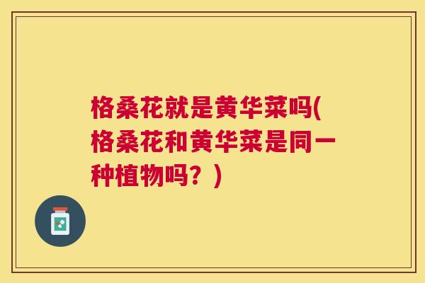 格桑花就是黄华菜吗(格桑花和黄华菜是同一种植物吗?) 格桑花就是黄华菜吗(格桑花和黄华菜是同一种植物吗?)