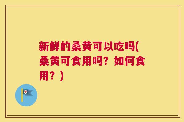新鲜的桑黄可以吃吗(桑黄可食用吗?如何食用?) 新鲜的桑黄可以吃吗(桑黄可食用吗?如何食用?)