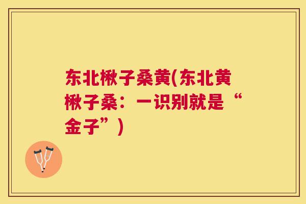 东北楸子桑黄(东北黄楸子桑:一识别就是“金子”) 东北楸子桑黄(东北黄楸子桑:一识别就是“金子”)