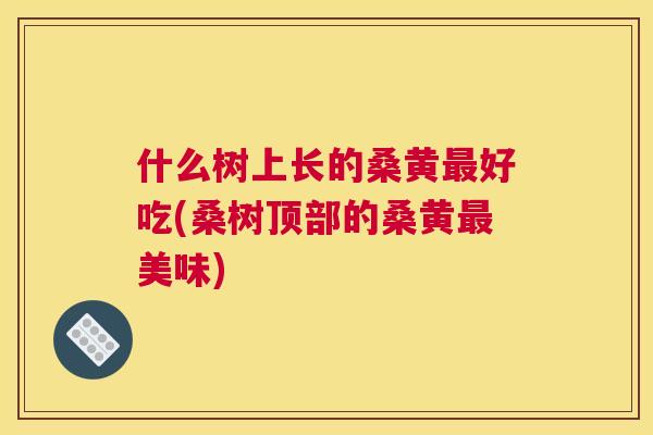 什么树上长的桑黄好吃(桑树顶部的桑黄美味) 什么树上长的桑黄好吃(桑树顶部的桑黄美味)