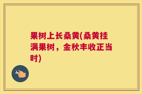 果树上长桑黄(桑黄挂满果树,金秋丰收正当时) 果树上长桑黄(桑黄挂满果树,金秋丰收正当时)