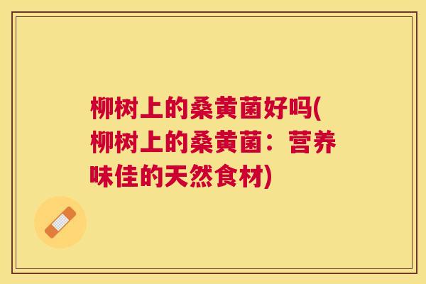 柳树上的桑黄菌好吗(柳树上的桑黄菌:营养味佳的天然食材) 柳树上的桑黄菌好吗(柳树上的桑黄菌:营养味佳的天然食材)