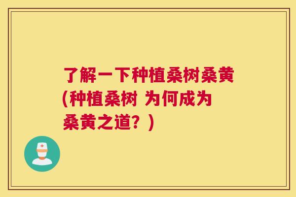了解一下种植桑树桑黄(种植桑树 为何成为桑黄之道？)