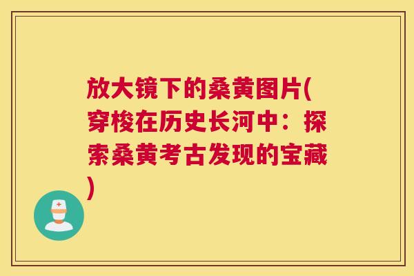 放大镜下的桑黄图片(穿梭在历史长河中:探索桑黄考古发现的宝藏) 放大镜下的桑黄图片(穿梭在历史长河中:探索桑黄考古发现的宝藏)