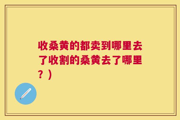收桑黄的都卖到哪里去了收割的桑黄去了哪里?) 收桑黄的都卖到哪里去了收割的桑黄去了哪里?)