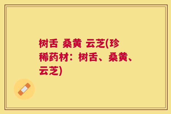 树舌 桑黄 云芝(珍稀药材:树舌、桑黄、云芝) 树舌 桑黄 云芝(珍稀药材:树舌、桑黄、云芝)
