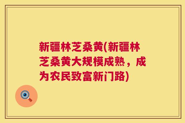 新疆林芝桑黄(新疆林芝桑黄大规模成熟,成为农民致富新门路) 新疆林芝桑黄(新疆林芝桑黄大规模成熟,成为农民致富新门路)