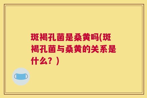 斑褐孔菌是桑黄吗(斑褐孔菌与桑黄的关系是什么?) 斑褐孔菌是桑黄吗(斑褐孔菌与桑黄的关系是什么?)