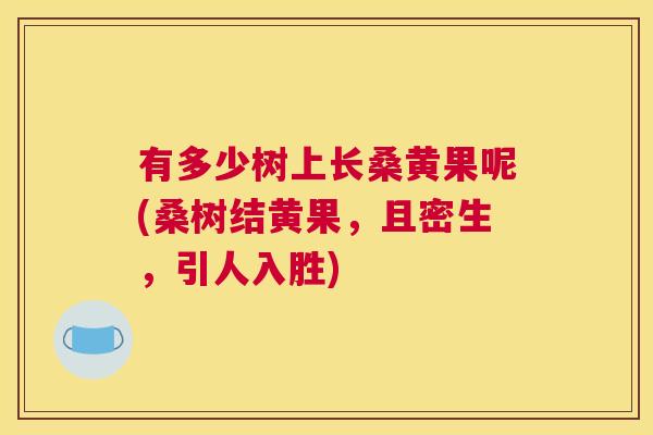 有多少树上长桑黄果呢(桑树结黄果,且密生,引人入胜) 有多少树上长桑黄果呢(桑树结黄果,且密生,引人入胜)