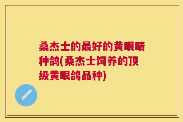 桑杰士的好的黄眼睛种鸽(桑杰士饲养的黄眼鸽品种) 桑杰士的好的黄眼睛种鸽(桑杰士饲养的黄眼鸽品种)