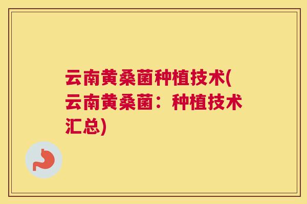 云南黄桑菌种植技术(云南黄桑菌:种植技术汇总) 云南黄桑菌种植技术(云南黄桑菌:种植技术汇总)