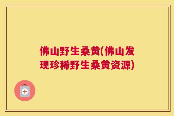 佛山野生桑黄(佛山发现珍稀野生桑黄资源) 佛山野生桑黄(佛山发现珍稀野生桑黄资源)