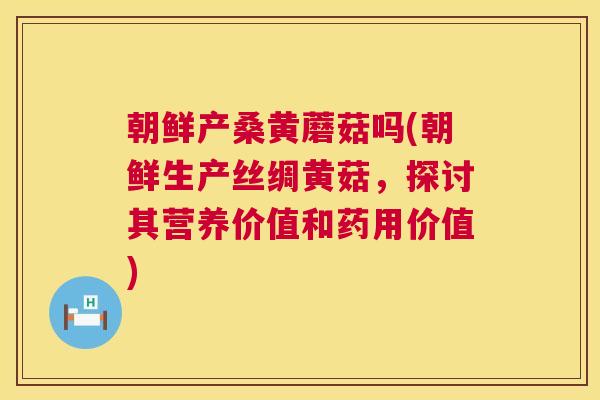 朝鲜产桑黄蘑菇吗(朝鲜生产丝绸黄菇,探讨其营养价值和药用价值) 朝鲜产桑黄蘑菇吗(朝鲜生产丝绸黄菇,探讨其营养价值和药用价值)