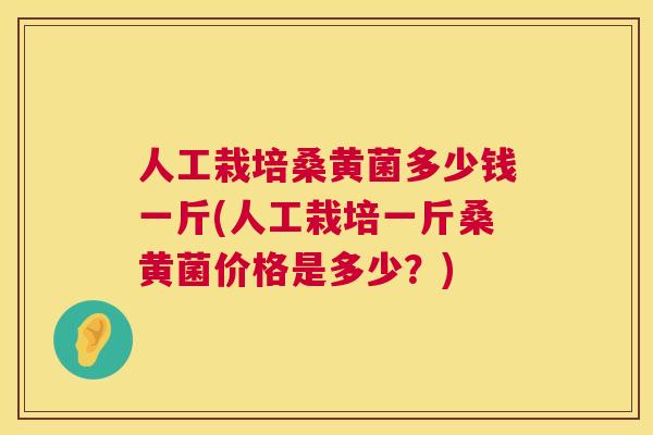 人工栽培桑黄菌多少钱一斤(人工栽培一斤桑黄菌价格是多少?) 人工栽培桑黄菌多少钱一斤(人工栽培一斤桑黄菌价格是多少?)