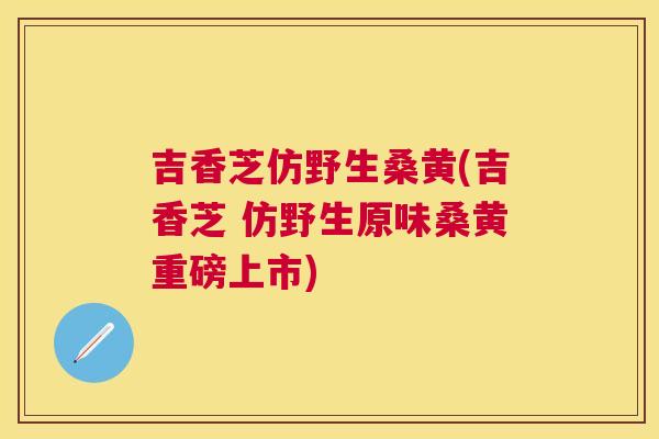 吉香芝仿野生桑黄(吉香芝 仿野生原味桑黄重磅上市) 吉香芝仿野生桑黄(吉香芝 仿野生原味桑黄重磅上市)