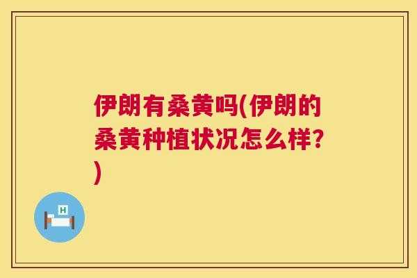 伊朗有桑黄吗(伊朗的桑黄种植状况怎么样?) 伊朗有桑黄吗(伊朗的桑黄种植状况怎么样?)