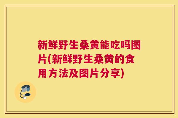 新鲜野生桑黄能吃吗图片(新鲜野生桑黄的食用方法及图片分享) 新鲜野生桑黄能吃吗图片(新鲜野生桑黄的食用方法及图片分享)