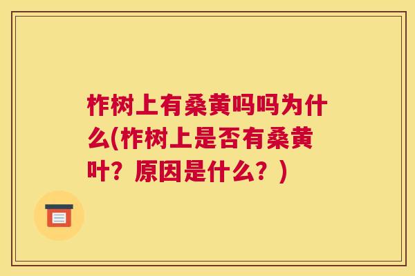 柞树上有桑黄吗吗为什么(柞树上是否有桑黄叶?原因是什么?) 柞树上有桑黄吗吗为什么(柞树上是否有桑黄叶?原因是什么?)